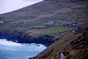 Dingle Ireland Surf