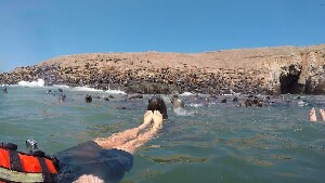 Mar Adentro Excursiones