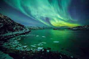 Tromso Safari