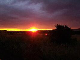 Perfect Wilderness Tours and Safaris