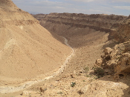Wild - Trails Israel