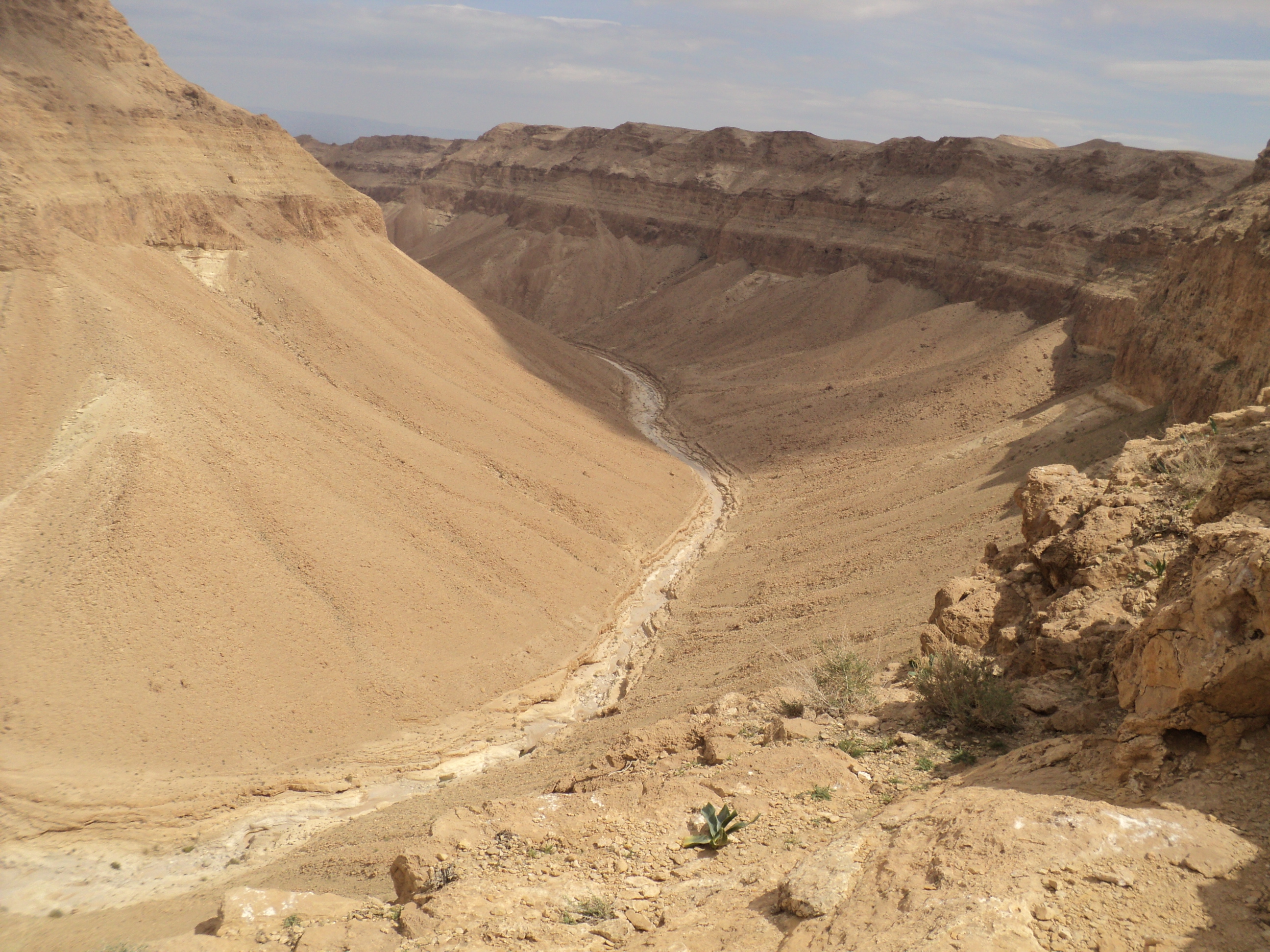 Wild - Trails Israel