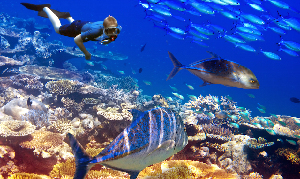 Blue Water Diving Centre Ltd