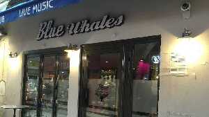 Le Blue Whales Pub&Diner