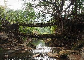 Cherrapunjee India Bridge