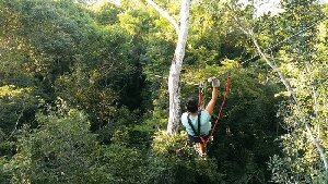 Belize Jungle Masters