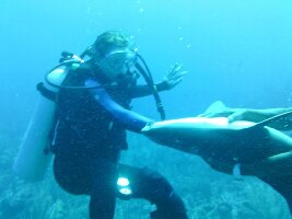 Scuba Sensations