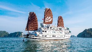 Bhaya Classic and Premium Cruises