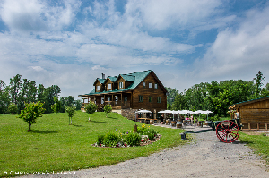 Richmond Canada Winery Tour