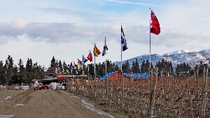 Summerland Canada Winery Tour