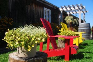 Ontario Canada Winery