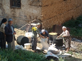 Private Tours with Mutlu Deveci - Daily Tours