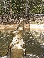 Townsville Australia Sanctuary