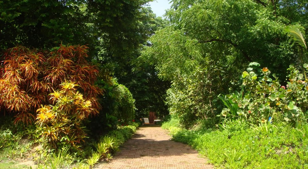 Jardin Botanico de San Andres