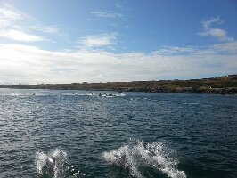 Ireland Dive