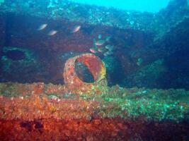 Thailand Dive