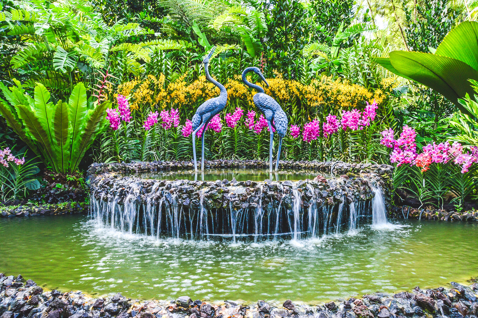 Singapore Botanic Gardens