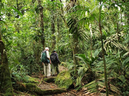 Parque Nacional Braulio Carrillo