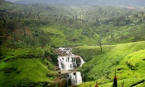 Sri Lanka National Park