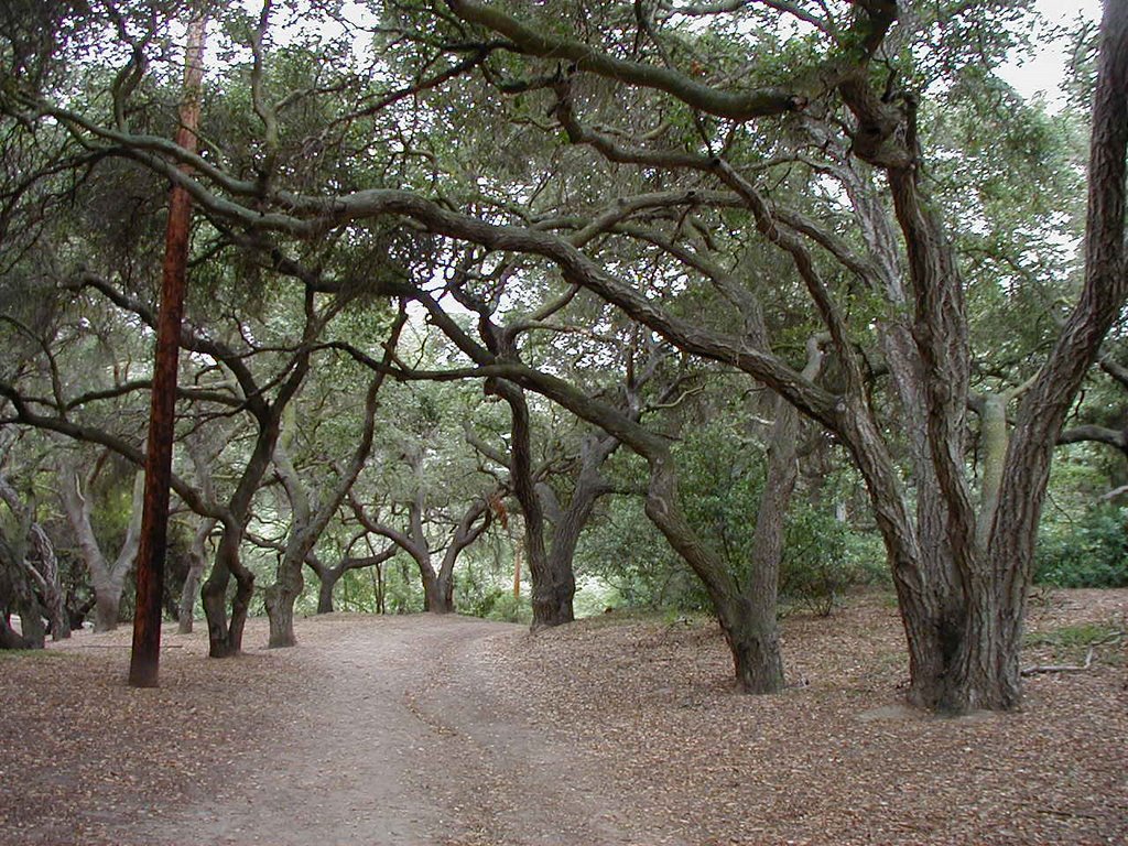 Oak Canyon Nature Center