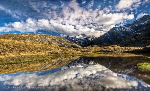 New Zealand National Park