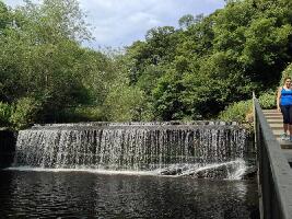 Water of Leith Walkway