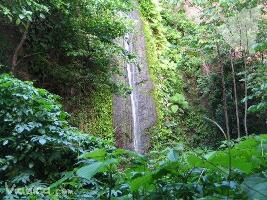 Nicaragua Natural Reserve