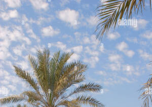 Khawr Fakkan United Arab Emirates Historical Site