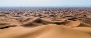 Ar Ruways United Arab Emirates Desert
