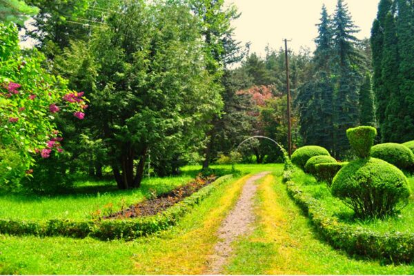 Dendropark