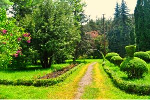 Stepanavan Dendropark