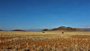 Mocamedes Angola Park