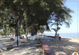 Praia Morena