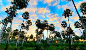 Santa Elena Argentina National Park