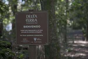 Delta Terra
