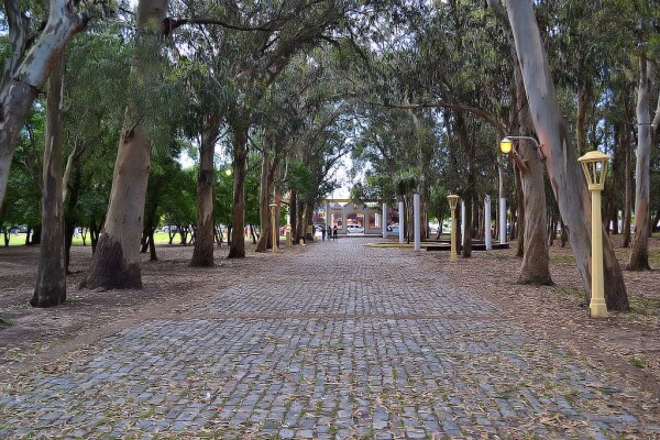 Miguel Lillo Park