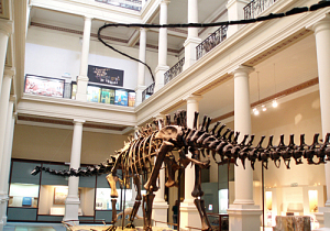 Buenos Aires Argentina Museum