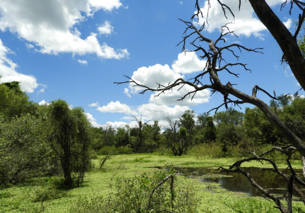 Reserva Natural Formosa