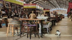 Colegiales Argentina Flea Market