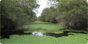 Barranqueras Argentina National Park