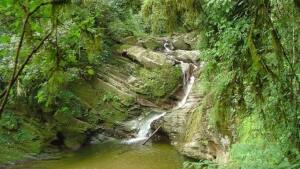 Yerba Buena Argentina National Park