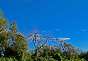 Vera Argentina National Park