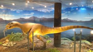 Trelew Argentina Regional Museum