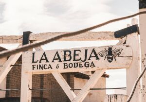 Bodega La Abeja