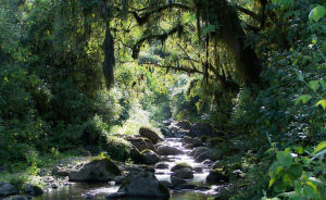 Catamarca Argentina National Park