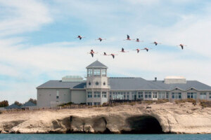 Puerto Madryn Argentina Museum