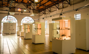 Plottier Argentina Museum