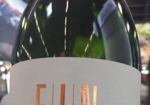 Plottier Argentina Winery