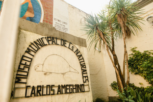 Museo de Ciencias Naturales 