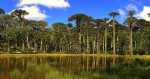 Joaquin V. Gonzalez Argentina Natural Lake